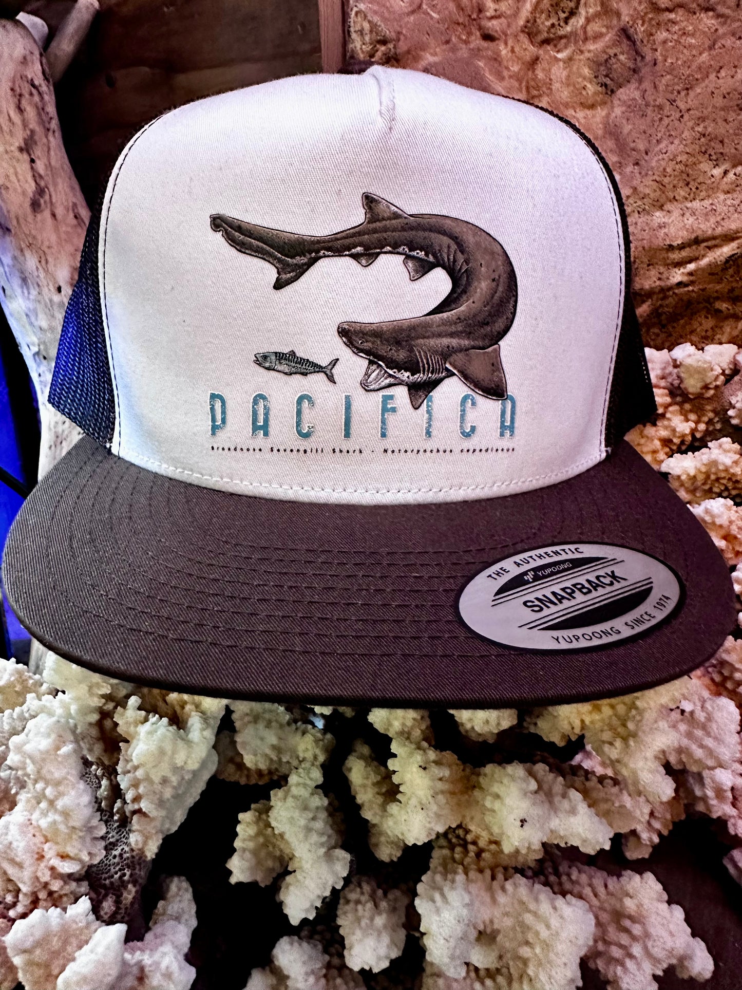 Pacifica Sevengill Shark Snapback Hat