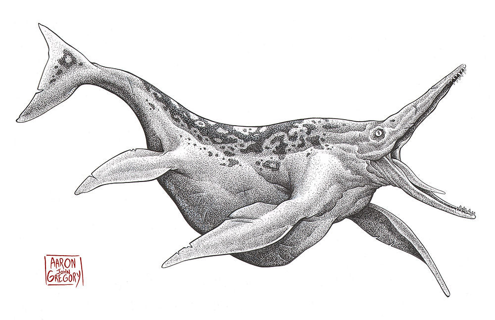 Art Print - Shonisaurus