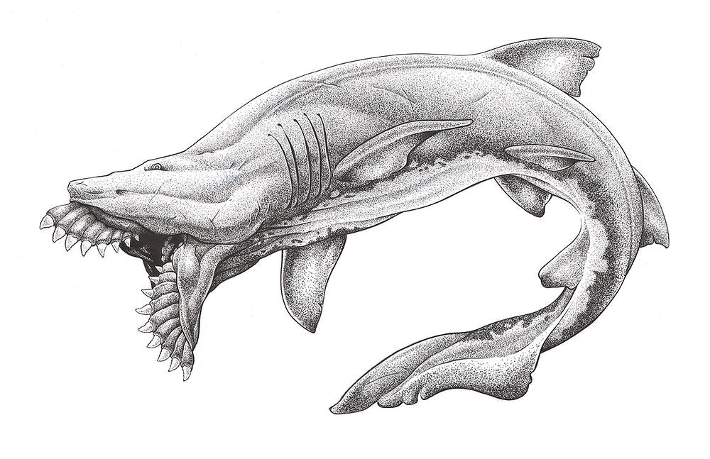 Art Print - Edestus Giganteus "Scissor-Jaw" Shark