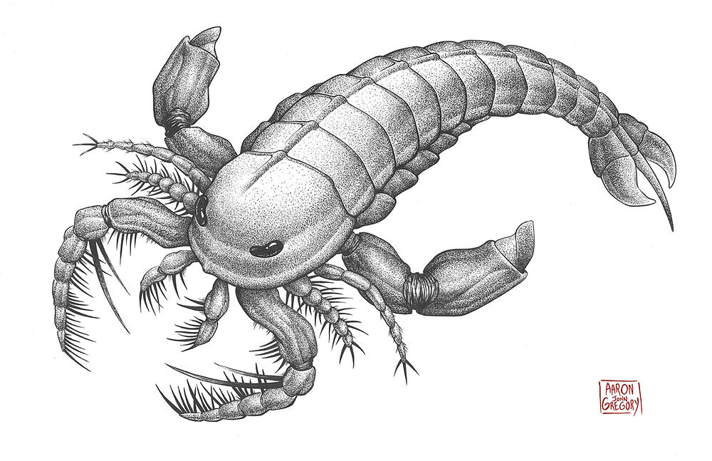 Art Print - "Sea Scorpion" Megalograptus