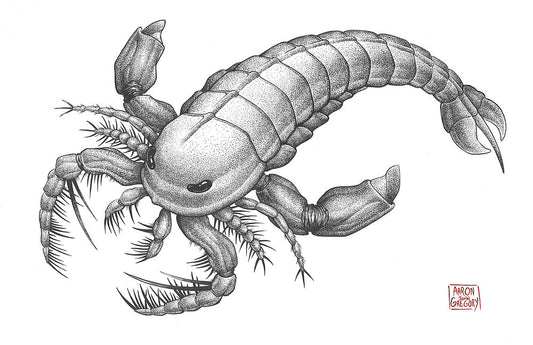 Art Print - "Sea Scorpion" Megalograptus