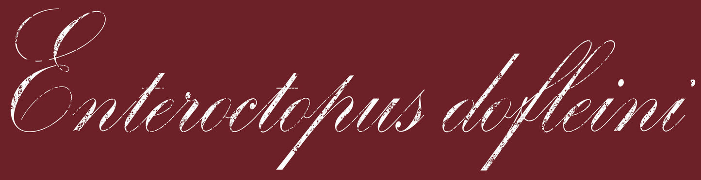 Giant Pacific Octopus - Pull-over Hoodie