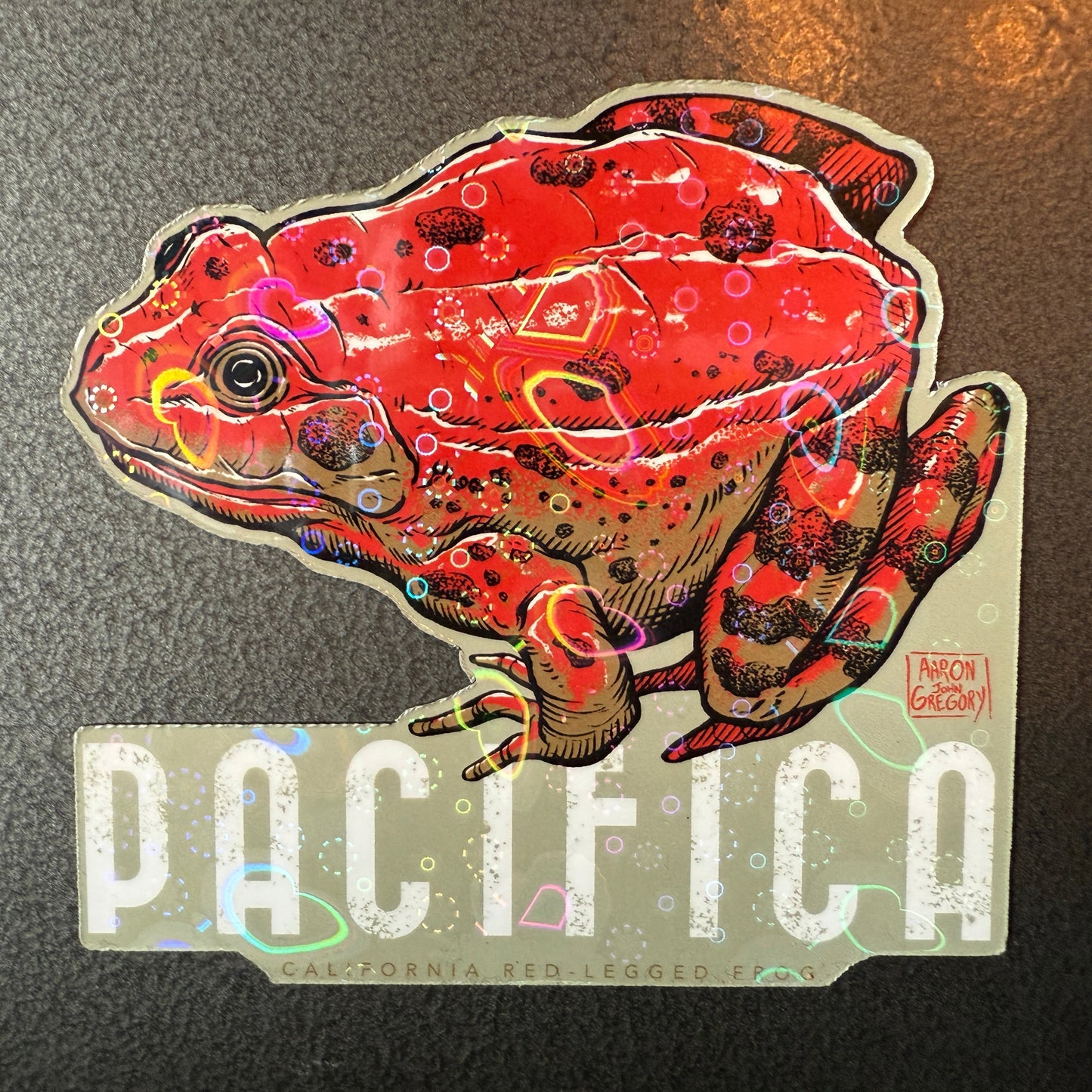 Red Legged Frog / Pacifica Magnet