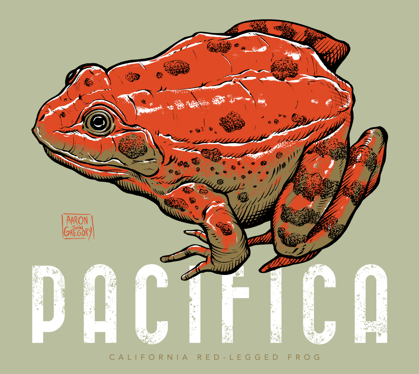 Red-legged Frog "PACIFICA" Youth Tee