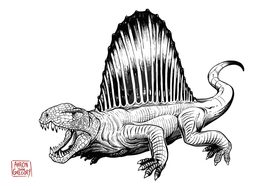 Art Print - Dimetrodon