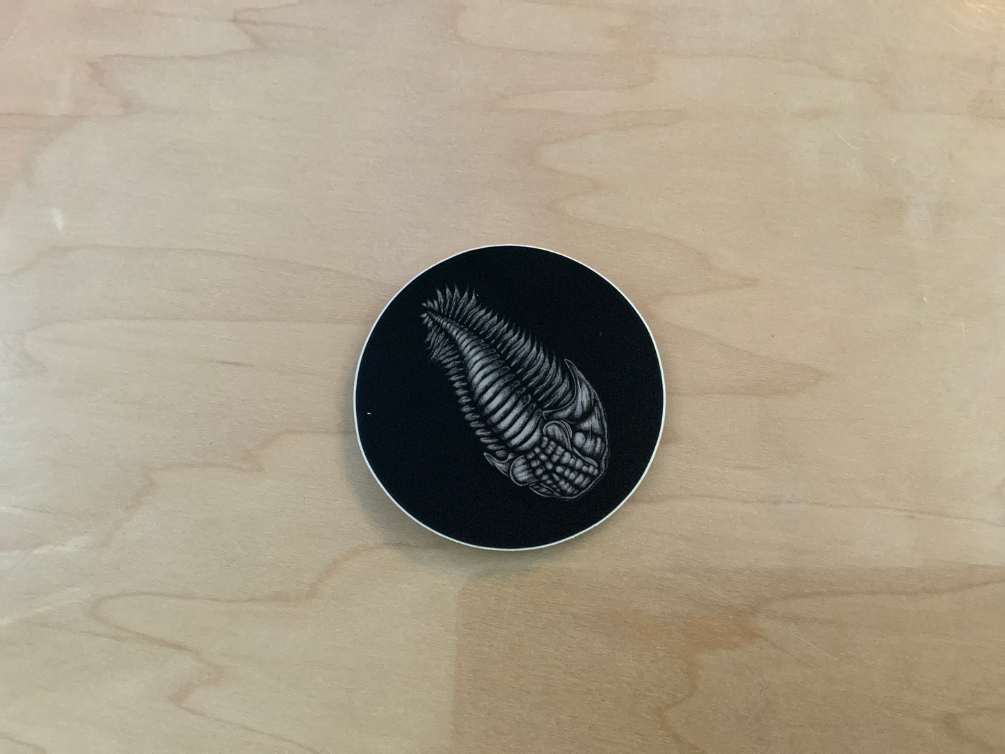 Sticker - CC Trilobite