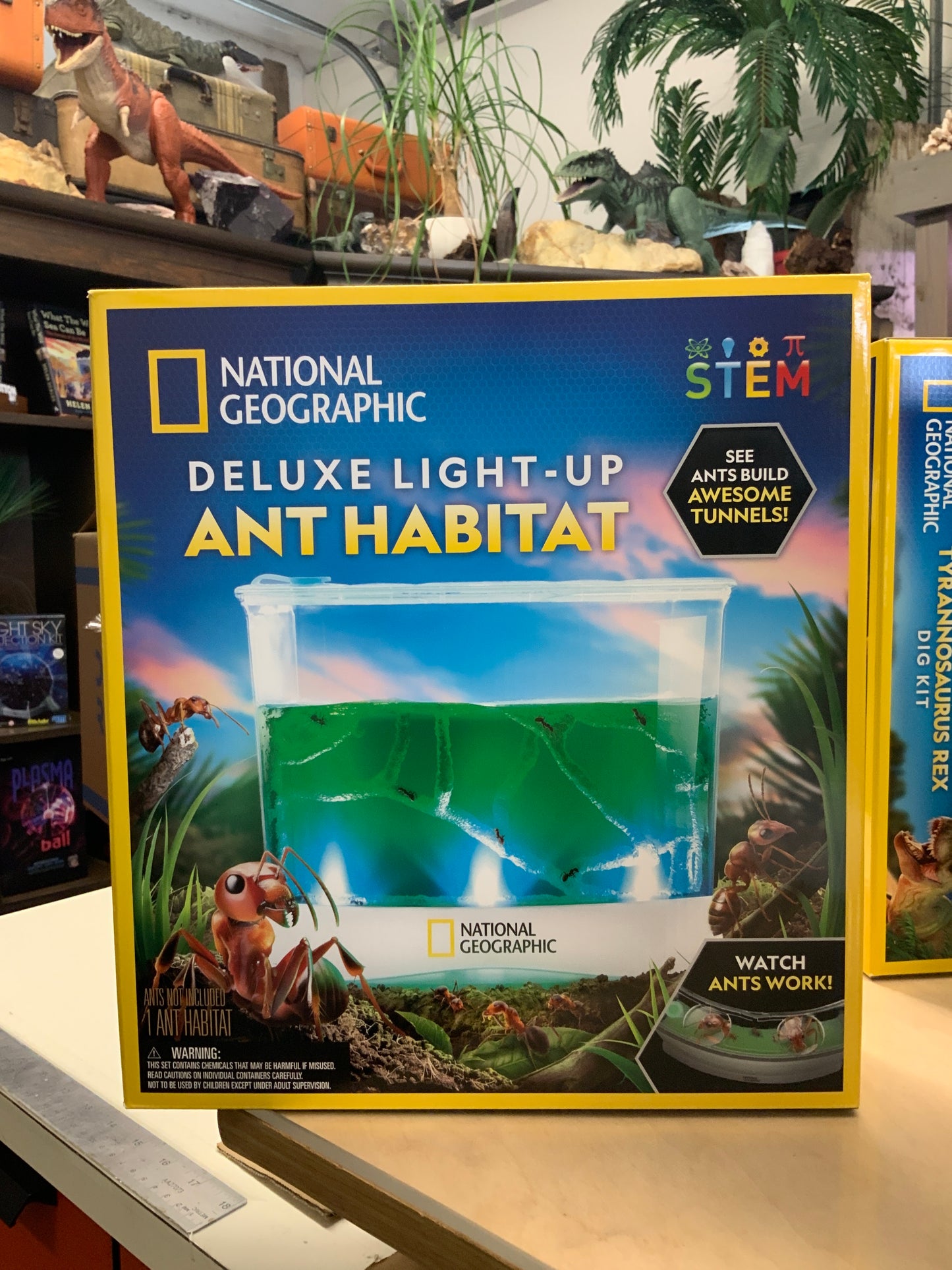 Ant Habitat - Nat Geo