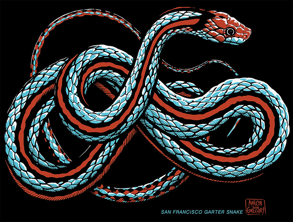 San Francisco Garter Snake Long Sleeve Unisex T-Shirt