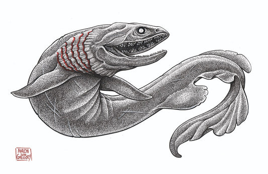 Art Print - Frilled Shark