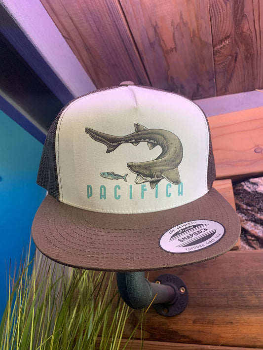 Pacifica Sevengill Shark Snapback Hat