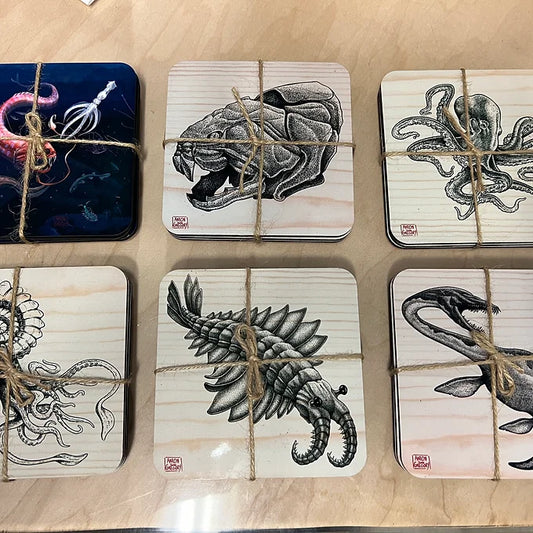 Coasters - Set of 3 - Cuppafog (Various)