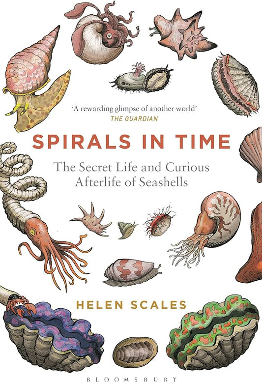 Book - Spirals in Time: The Secret Life and Curious Afterlife of Seashells