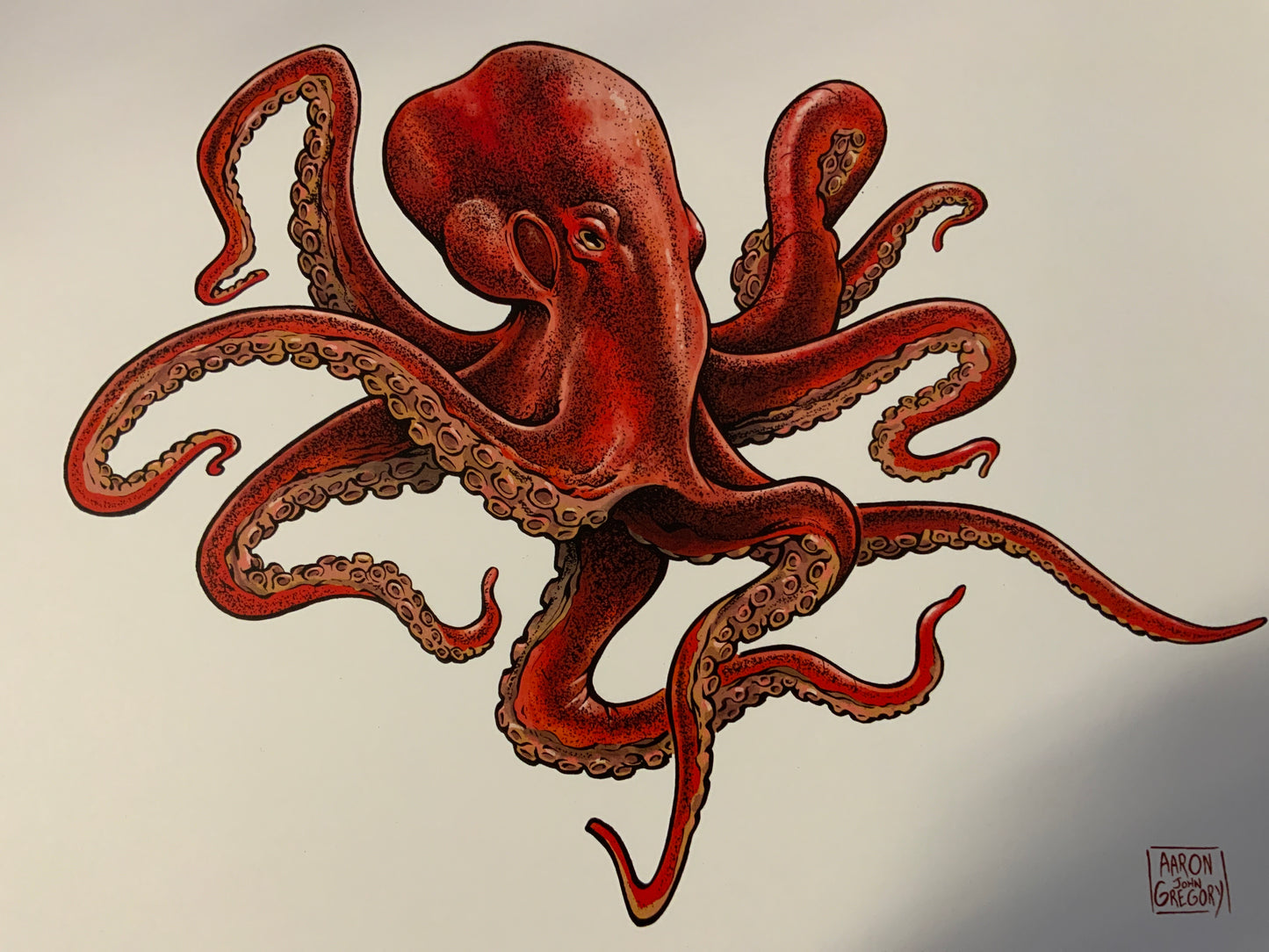 Art Print - Giant Pacific Octopus