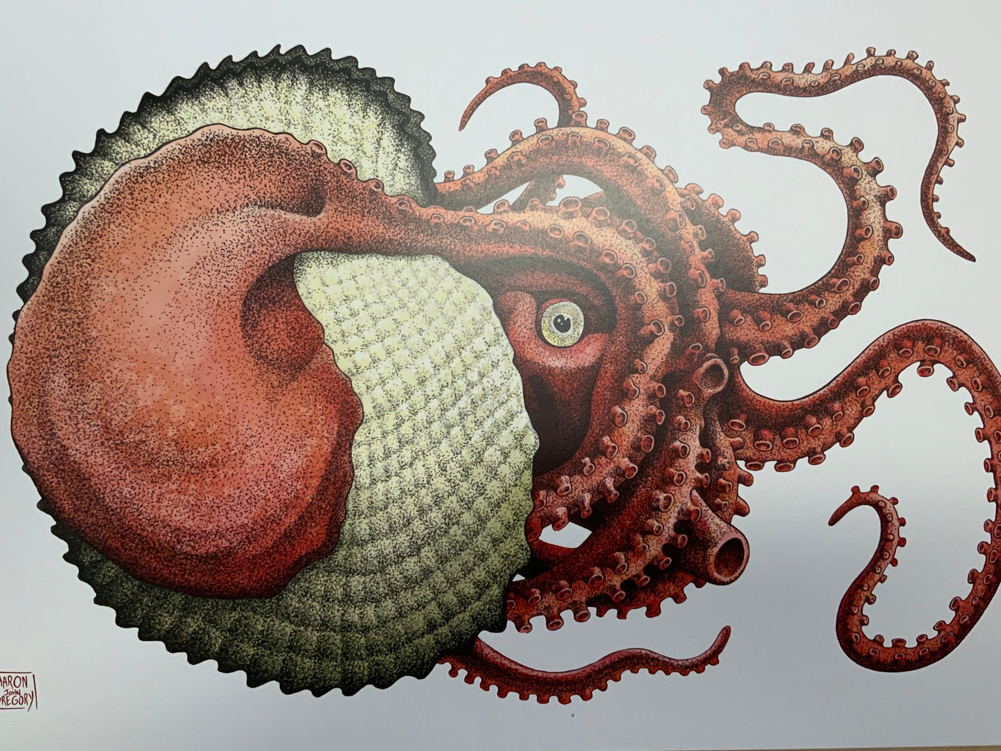 Art Print - Argonaut Octopus (Color Variant)