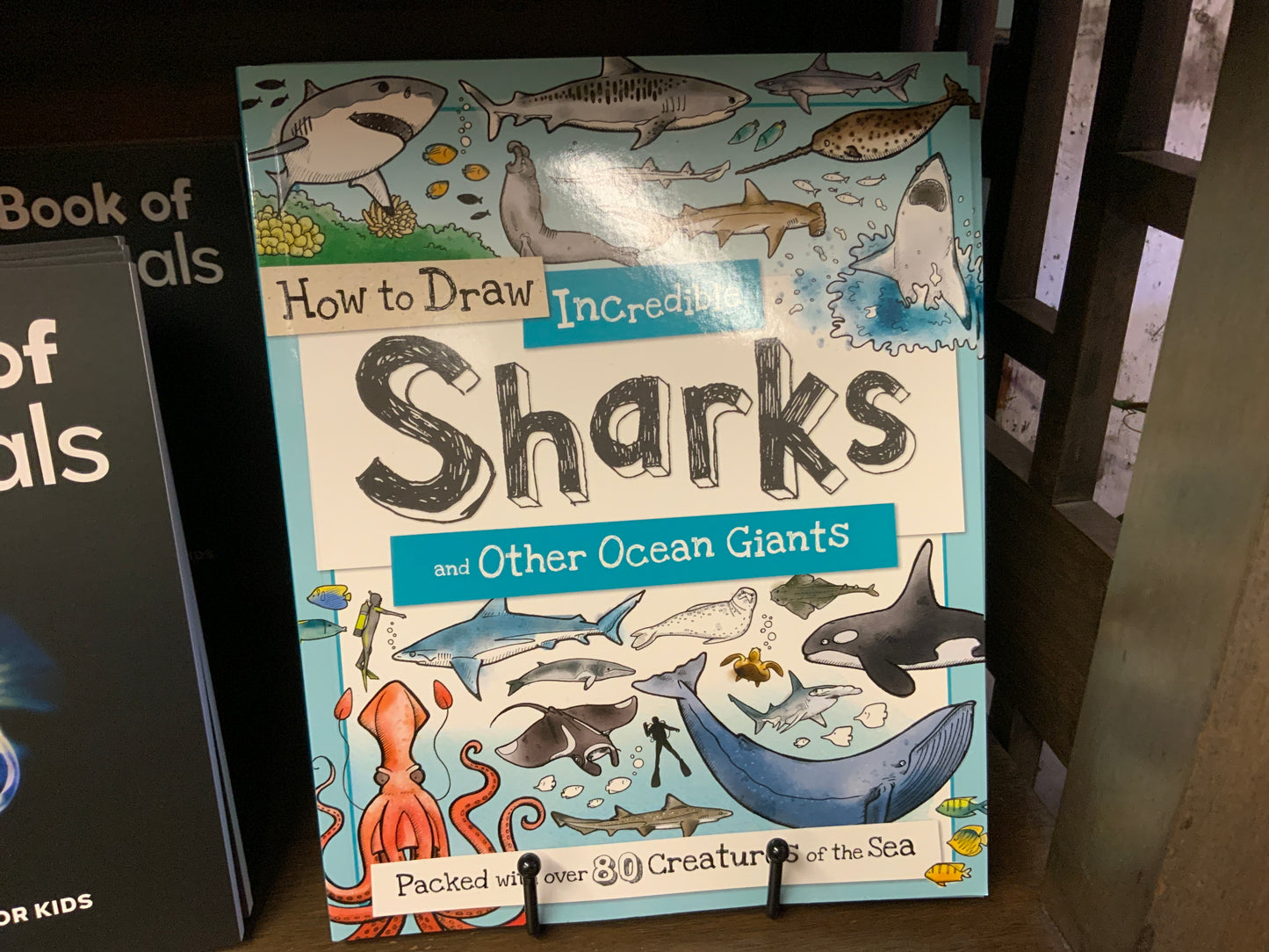 Book - How to Draw Sharks