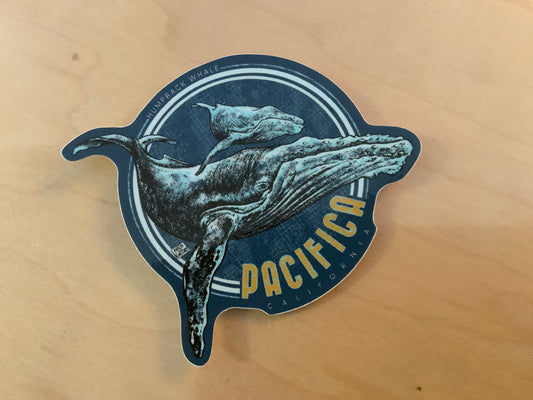 Sticker - CC Pacifica Humpback