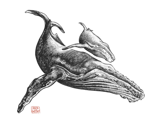 Art Print - Humpback and Calf