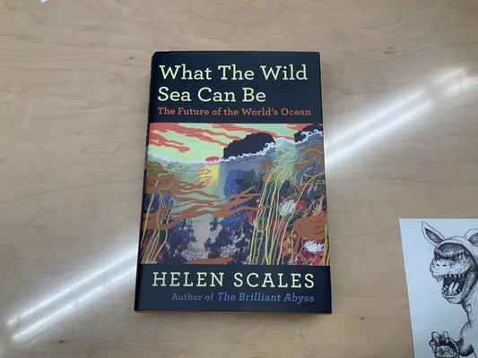 What The Wild Sea Can Be; The Future of the World’s Ocean - Helen Scales