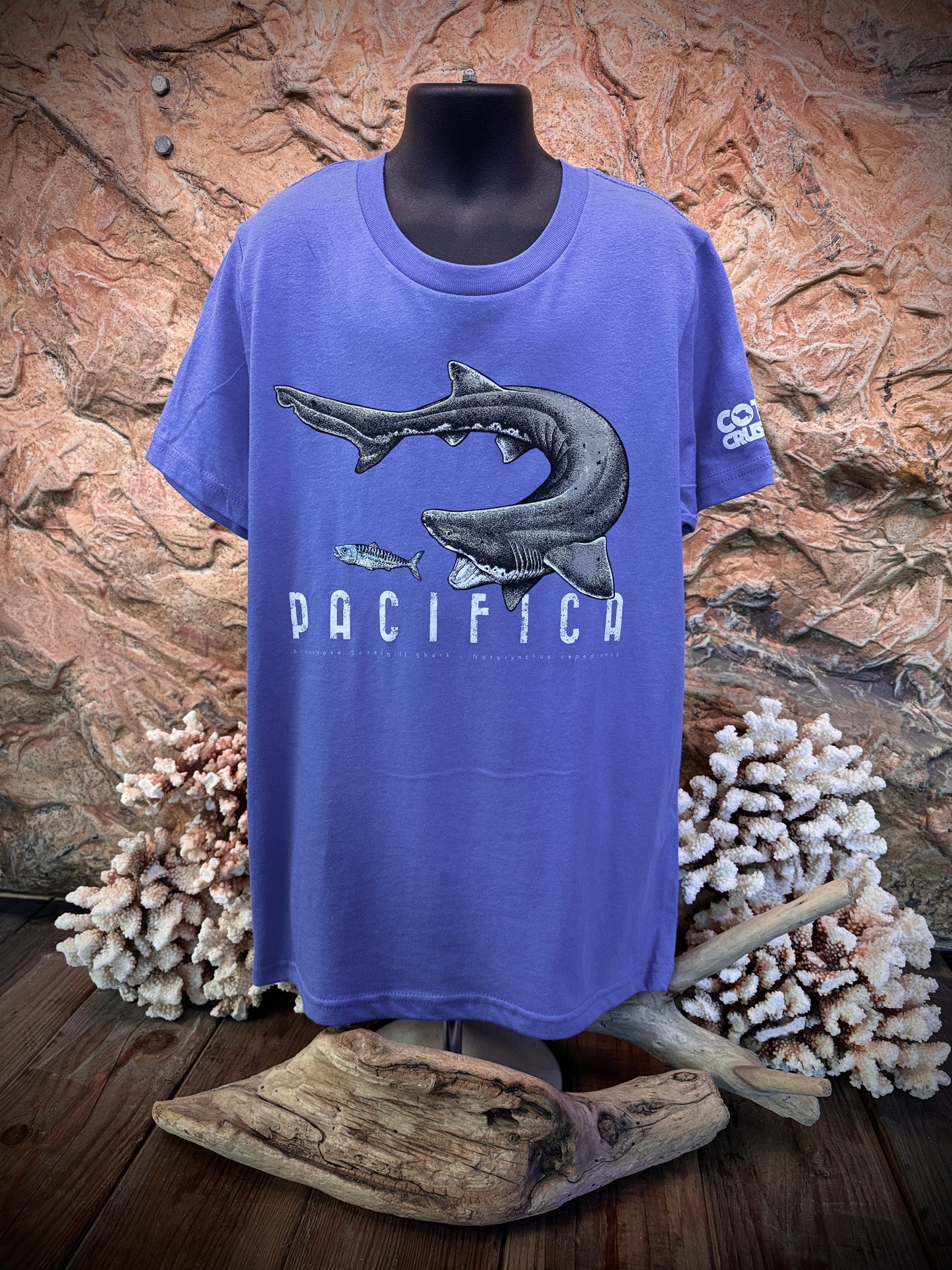 Pacifica Sevengill Shark Youth T-Shirt