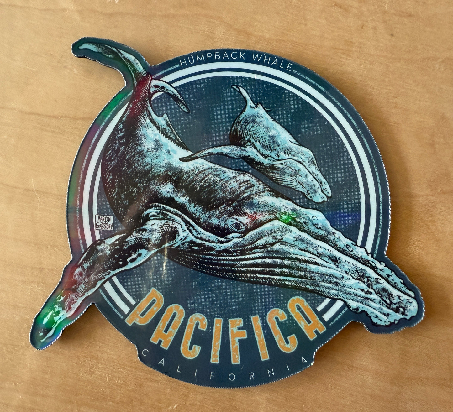 Humpback Whale / Pacifica Magnet