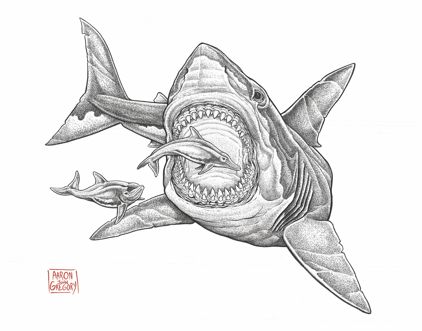 Art Print - Megalodon