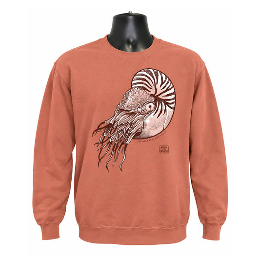 Chambered Nautilus - Crew Sweatshirt