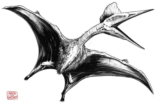 Art Print - Quetzalcoatlus